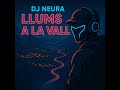 Dj Neura - Llums a la vall