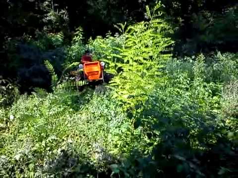 Akcija u šumi by Ivan (Okrugli Vrh)