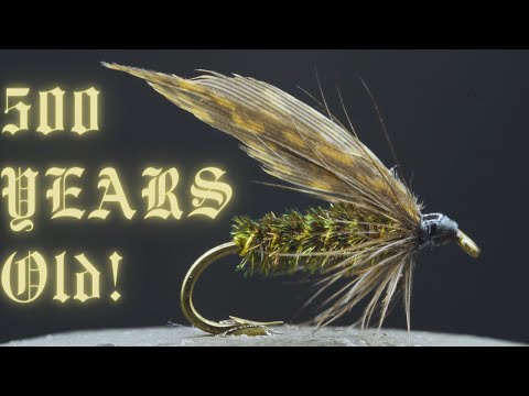 504 Year OLD Fly STILL Catches FISH!