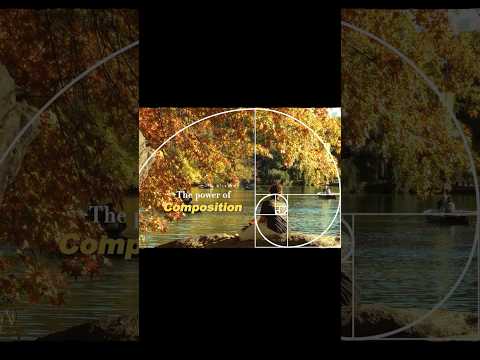 The Power of Composition