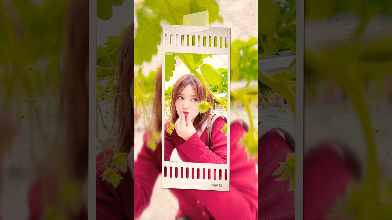 🍓いちご狩り🍓