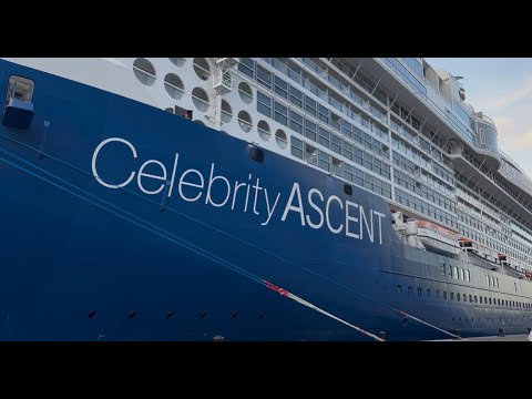 Celebrity Ascent Inside Stateroom Tour | What to Expect in a Standard Cabin