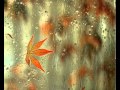David Nevue-Home.mp4