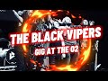 The Black Vipers play O2 Shepherds Bush