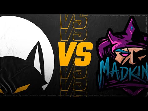 WOLF TEAM vs MAD KINGS - CLOSED QLY PARA O T.I 11 - LIVE DA TORCIDA AUUUUUU