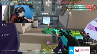 C9 OXY Gekko Split RADIANT