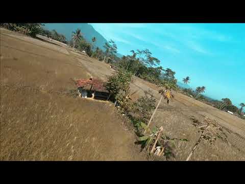 Test esc TMotor Pacer P60A