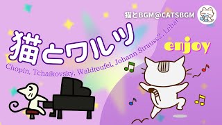 Download lagu 【作業用・勉強用BGM 】 猫とワルツメドレー「ショパン、チャイコフスキー、シュトラウス２世、レハール、ワルトトイフェル、有名ワルツ８選」 😺 猫とBGM mp3