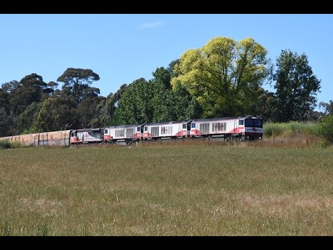 SCT Logistics 2MP9 CSR012 CSR005 CSR009 SCT007 21st December 2021