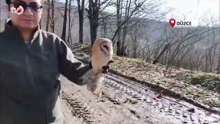 211 Yaban Hayvanı Doğaya Salındı