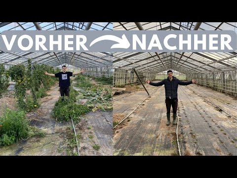 Das war es mit dem RIESENGEWÄCHSHAUS!