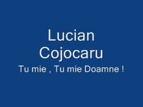 Lucian cojocaru