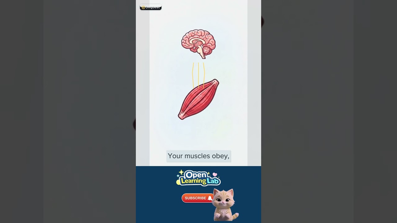 Why Do We Shiver? — Spot it in real life 🚀 #Shorts