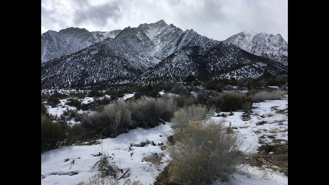 What Is Ecopsychology and Why Do We Need It?