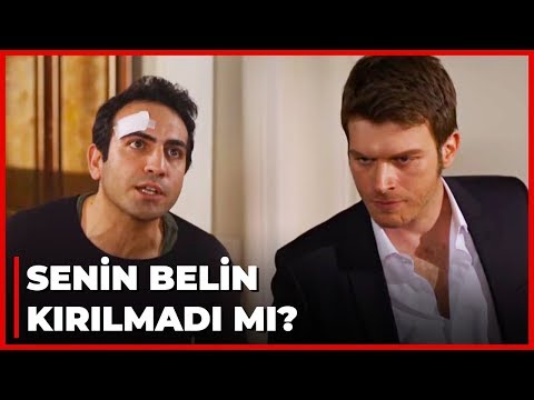 Kuzey ile Güney'in Ali Kavgası! - Kuzey Güney 59. Bölüm