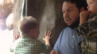 We like the Zoo - April 2013 / 2014 with the Smiths