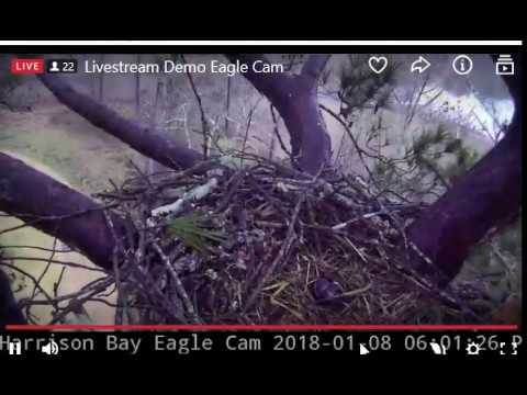 2o18 0108 530 615 pm