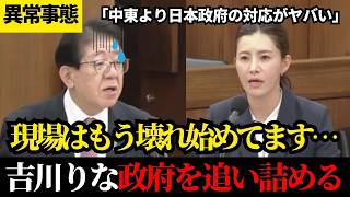 【参政党】吉川りなが政府を追及！住宅大手の悲鳴を「流通の目詰まり」と一蹴した衝撃の実態【衆議院国土交通委員会】