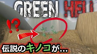 ついに出逢う伝説の万能薬キノコ...『Green Hell(グリーンヘル)+DLC第三章』Steam サバイバル オープンワールド ゲーム実況#54