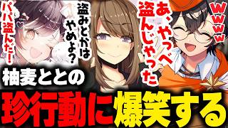 【Windrose】話題の海賊サバイバルゲーで柚麦ととの珍行動に爆笑するライト【たここ かわせ 静凛 ギルテックス ストグラコラボ ウィンドローズ 切り抜き】