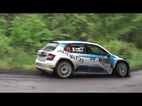 ARBETTI  RALLY DELLA VALPOLICELLA 2022 SKODA FABIA EVO