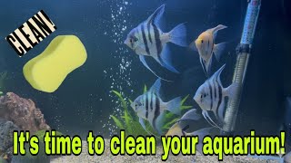 It’s time to clean aquarium 