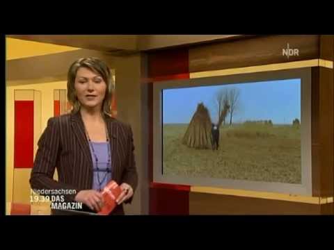Reetdachdecker Junker im NDR (2009)