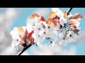 Markus Schulz feat. Departure - Without You Near (Gabriel & Dresden Remix) [HD]