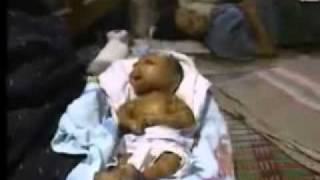 The Locust...Anything Jesus Does, I can Do Better