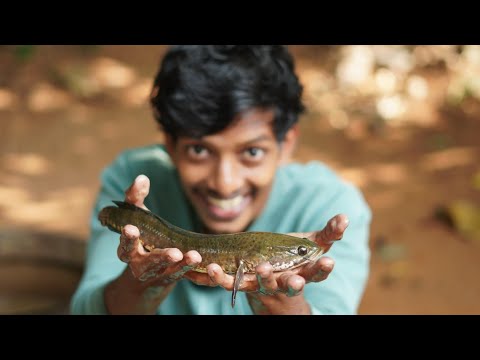 We rescued 5000 fish on the dry land |കൈ നനയാതെ മീൻ പിടിച്ചു !🤩