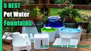 Pet Water Fountains: 5 Best Pet Water Fountains of 2020 | Ca