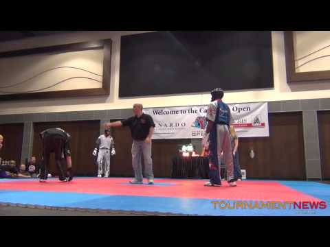 Fortuneto Aversa vs Richard Avery Plowden at Canadian Open 2013