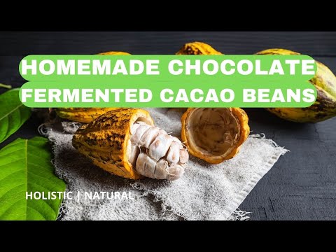 🍫 Fermenting Cacao Beans: Homemade Chocolate