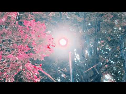 Video thumbnail for ​heat death of the universe