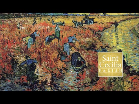 14th Sunday in Ordinary Time - 7/5/20