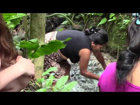 Apa mama clay request