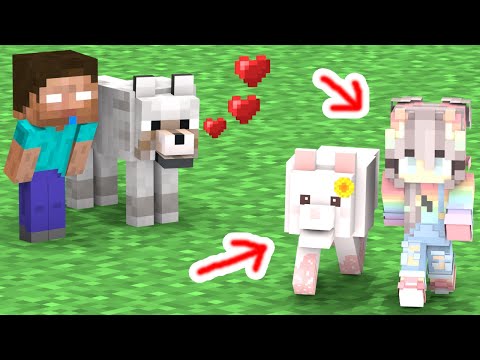 WOLF vs BABY HEROBRINE - FUNNY STORY - Minecraft Animation