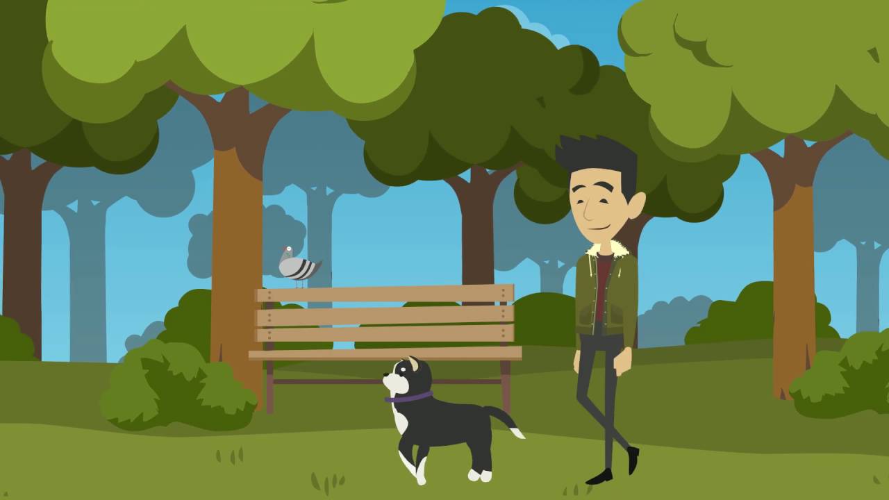 The Future of the City of Calgary - Digital Portal