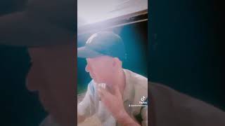 Download lagu abg bule dari india mp3 Download lagu abg bule dari india mp3