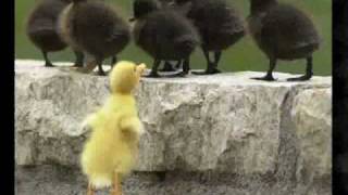 A Melhor Parte de Mim - NX Zero