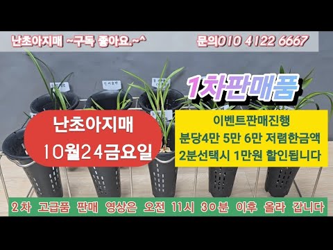 유튜브 썸네일