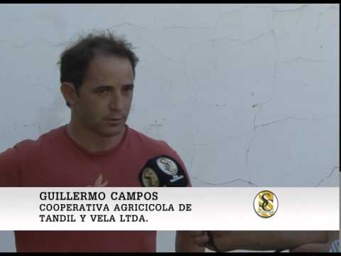 Monasterio Tattersall/Coop.Agric.Gan.Tandil y Vela. - Tandil - Nota Guillermo Campos - 24/02/2015