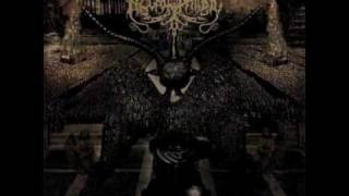 Necrophobic - For Those Who Stayed Satanic