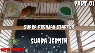 Download lagu suara prenjak starter suara jernih part 01@sutikchannel1386 mp3