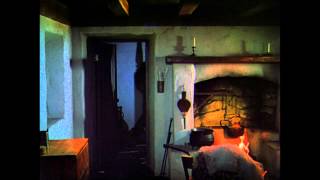 The Quiet Man (1952) Video