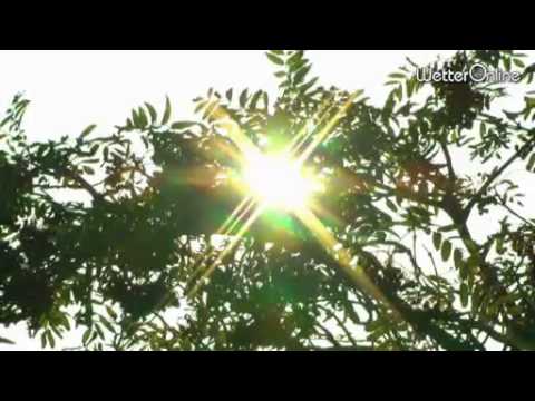 Altweibersommer läuft zur Höchstform auf