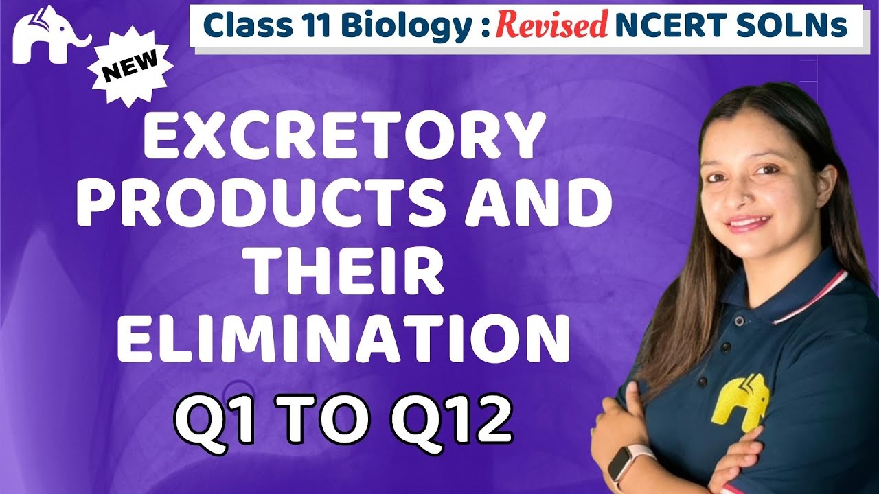 Excretory Products and their Elimination Class 11 Biology | NCERT Solutions Chapter 16 Question 1-12