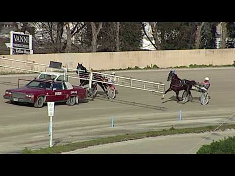 Aversa trotto 18 Gennaio 2020 - Prova di qualifica