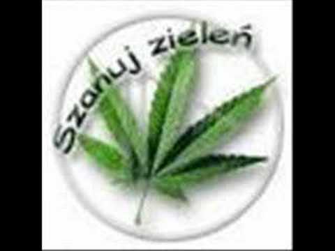 Pih feat. D.W.A. - jebać ich