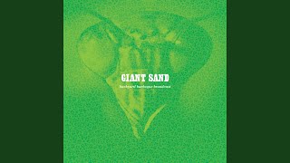 Music video thumbnail preview for Lester Lampshade by Giant Sand